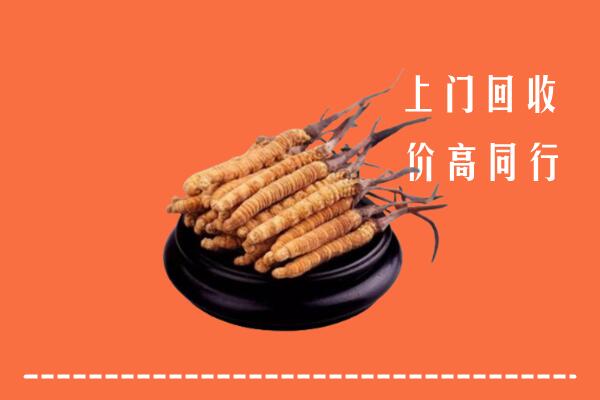 高价求购：甘孜州石渠回收散虫草