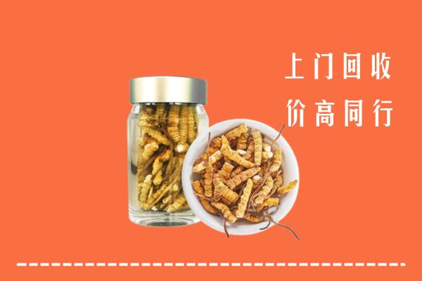 甘孜州石渠回收冬虫夏草
